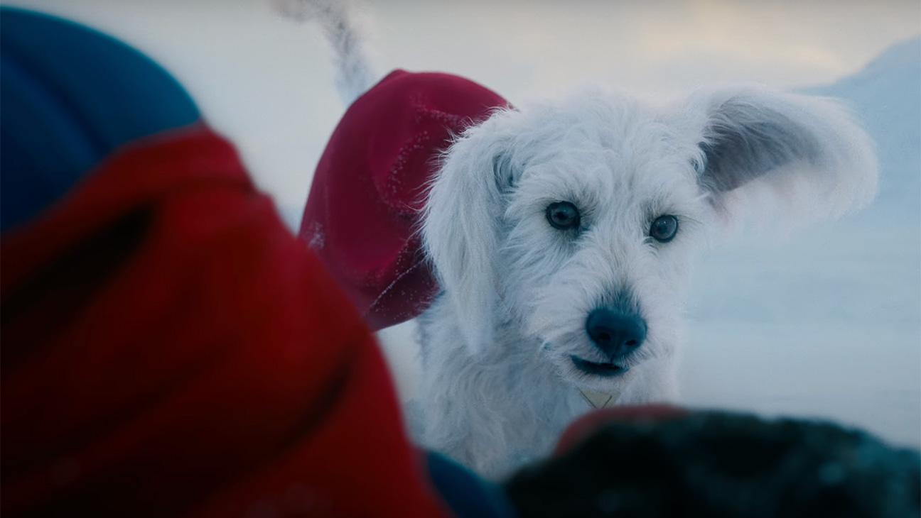 Krypto Super Dog in James Gunn's 'Superman.'